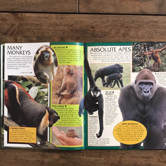 Animal Books for Kids - Picture 9 of 9